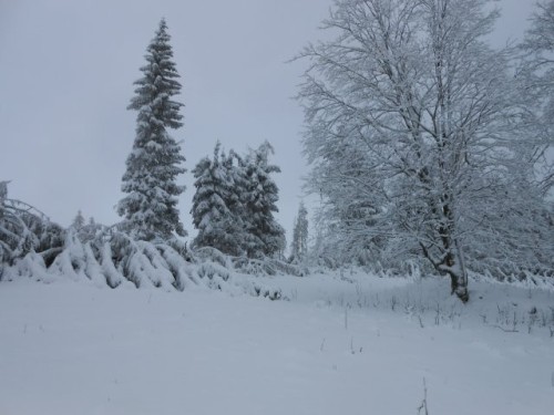 obr_864_0005.jpg