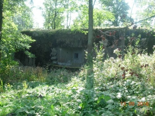obr_550_0006.jpg