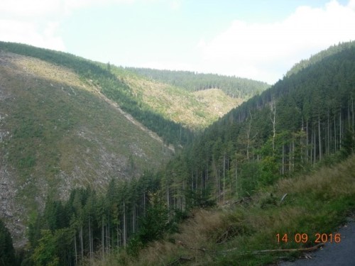 obr_550_0014.jpg