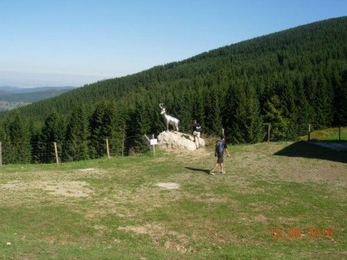 obr_550_0019.jpg