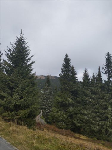 obr_101_0002.jpg